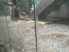 -嘉悦汗蒸时代(曙光路店)