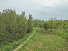 -白鹭湾湿地公园