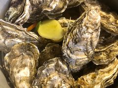 -千岛蚝高压锅生蚝·人参火锅(白云万达店)