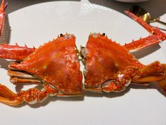 清蒸梭子蟹-小满海鲜·别院(天津旗舰店)