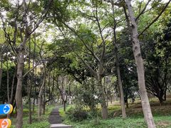 -天河儿童公园