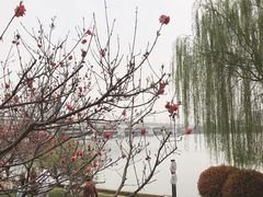 -灞河西岸滨河公园
