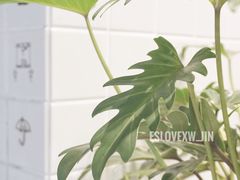 -Seesaw Coffee(环贸iapm店)
