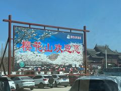 -樱花山风景区