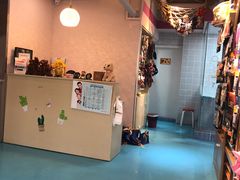 -A猫a狗全科·犬猫异宠·芥西宠物医院(南开总院)