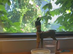 -默迹咖啡馆
