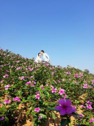 点击看大图 -巴黎婚纱摄影(瑞安旗舰店)