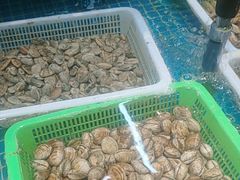 -和源祥·日照菜扛把子(万平口一店)