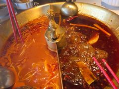 -小龙翻大江文化火锅(宽窄店)