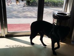 -瑞派天宁宠物医院·猫科·异宠中心