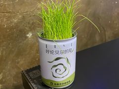 -很久以前羊肉串(清河店)