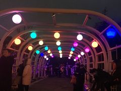 -祥源·阜阳生态乐园