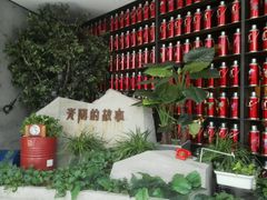 -青年公社烤鸭(蜀山万象汇店)