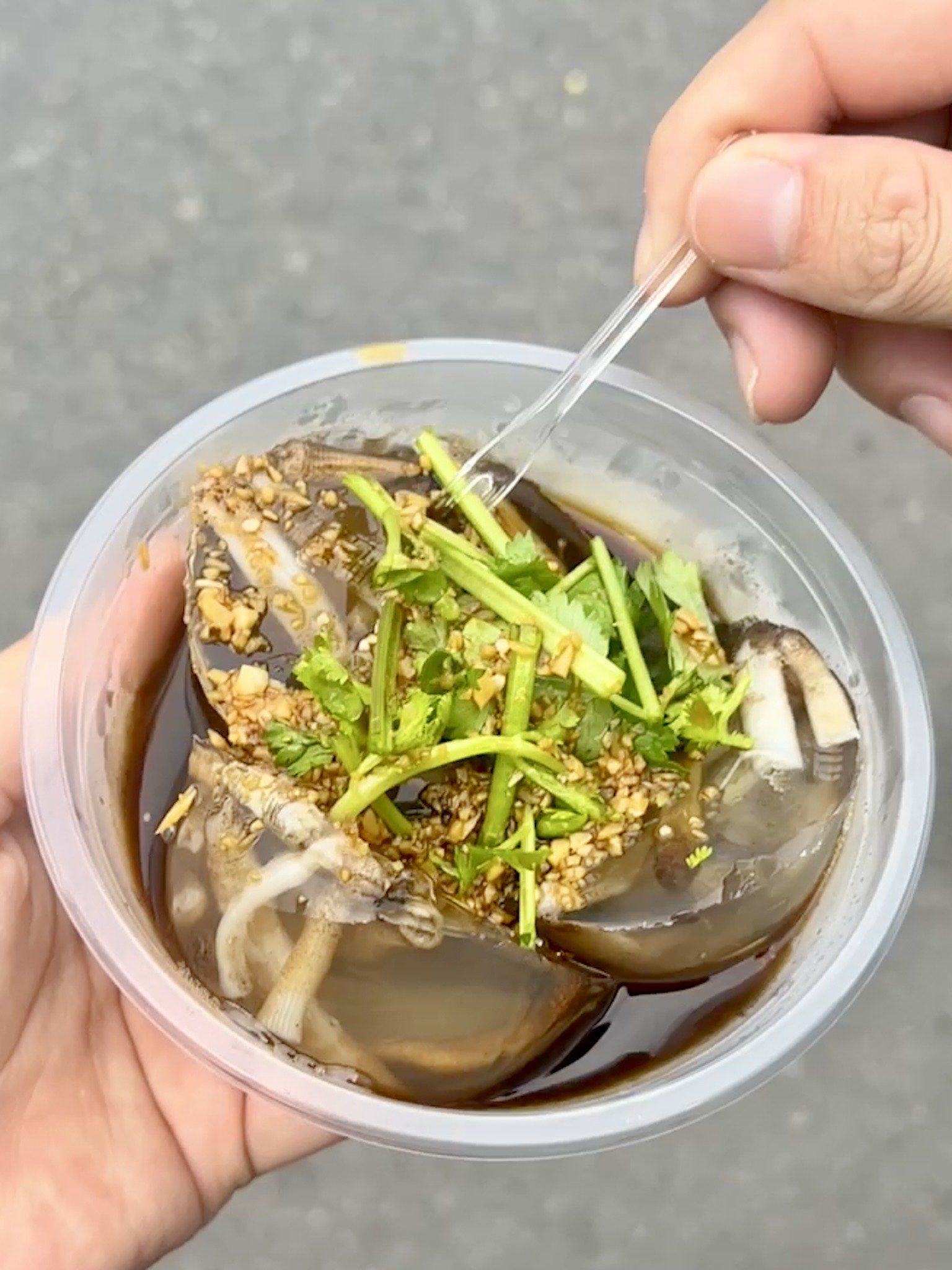 泉州百源路!这家土笋冻真的好绝!