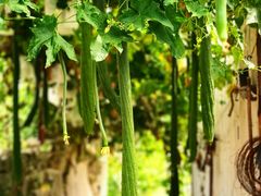 -大泽山风景名胜区