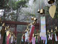 -秦岭天竺山生态文化旅游景区