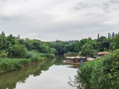 -上海长兴岛郊野公园