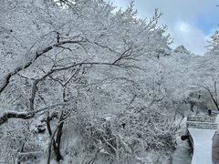 -黄山风景区