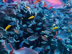 -成都浩海立方海洋公园