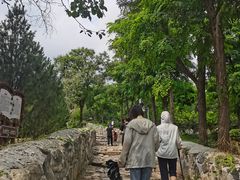 -阳台山自然风景区