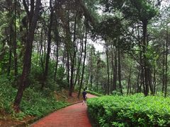 -客乐得玉峰山房车营地