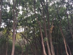 -岁福祥老母鸡汤面馆(阳曲路店)