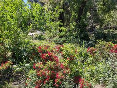 -北京西山国家森林公园