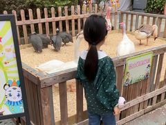 -广州长隆国际大马戏