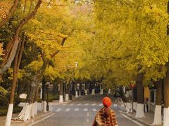 -八大关景区