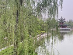 -迎泽公园