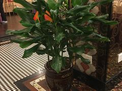 -新粤新疆菜清真餐厅(拱北店)