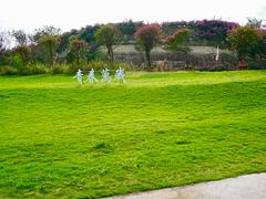 -建华生态湿地百荷园