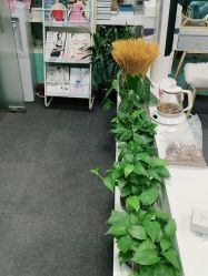 -斐尔国际皮肤管理中心