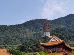 -深圳仙湖植物园