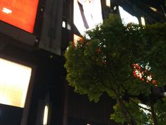 -梅龙镇广场