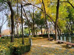 -元大都城垣遗址公园