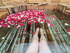 -金孔雀温泉旅游度假村