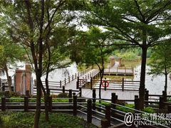 -大湾区中央湿地公园