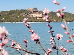 -颐和园