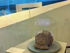 -北京周口店北京人遗址博物馆