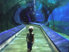 -福州罗源湾海洋世界旅游区