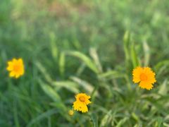 -渭河城市绿地运动公园