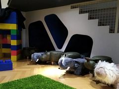 -哈沐德国际托育早教(保利城旗舰店)