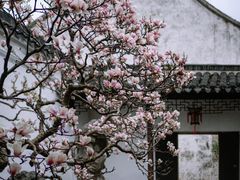 -拙政园