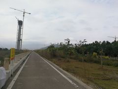 -芒洲湿地公园