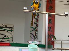-南戴河国际娱乐中心