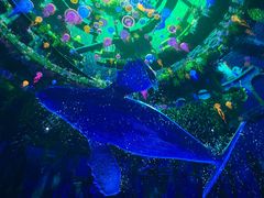 -海合安成都极地海洋公园