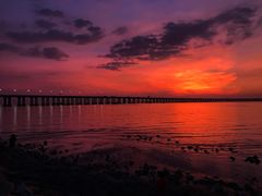 -宝安西湾红树林湿地公园