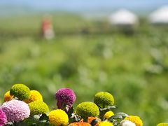 -新疆那拉提国家旅游度假区