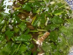 -吴记老店全牛汤